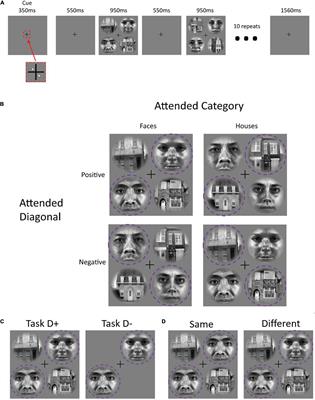 Correcting for Superficial Bias in 7T Gradient Echo fMRI